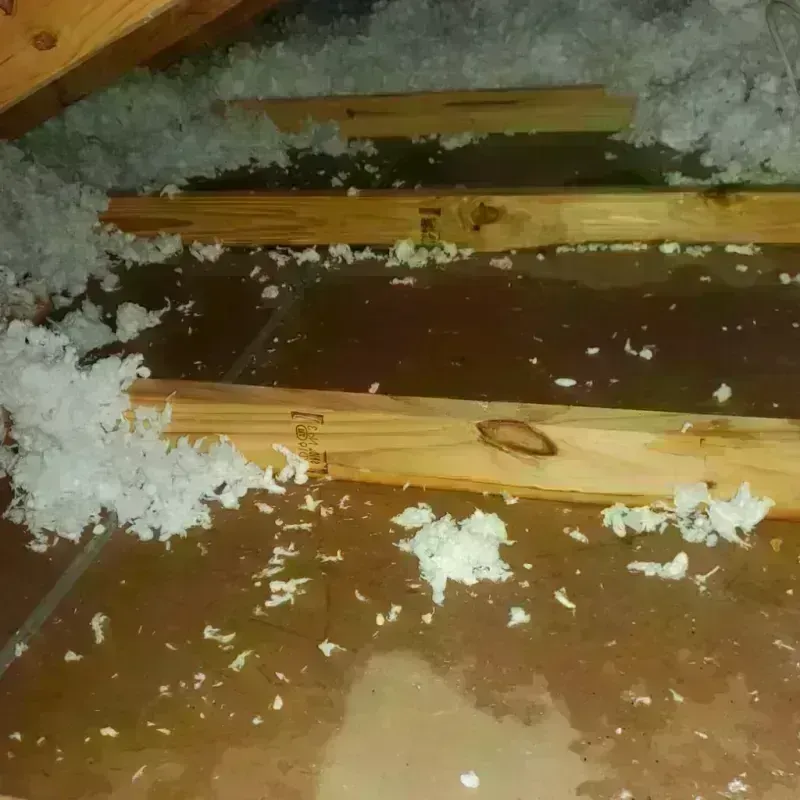 Attic Water Damage in Venus, TX