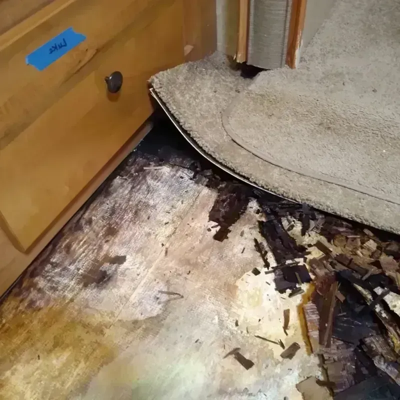 Wood Floor Water Damage in Venus, TX